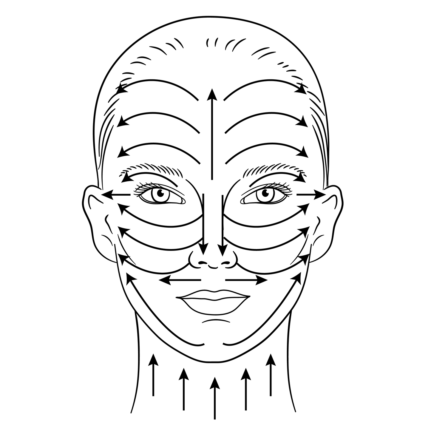 The Sculpt Stone (Face)